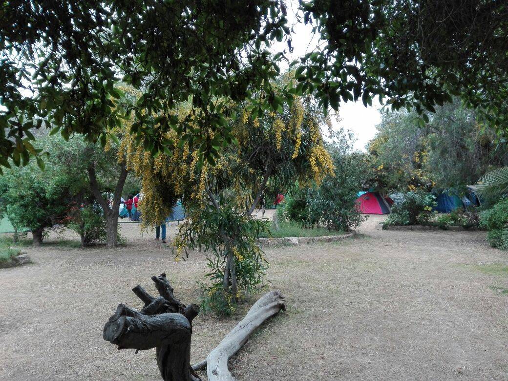 Camping el Oasis - Sector el Bosque