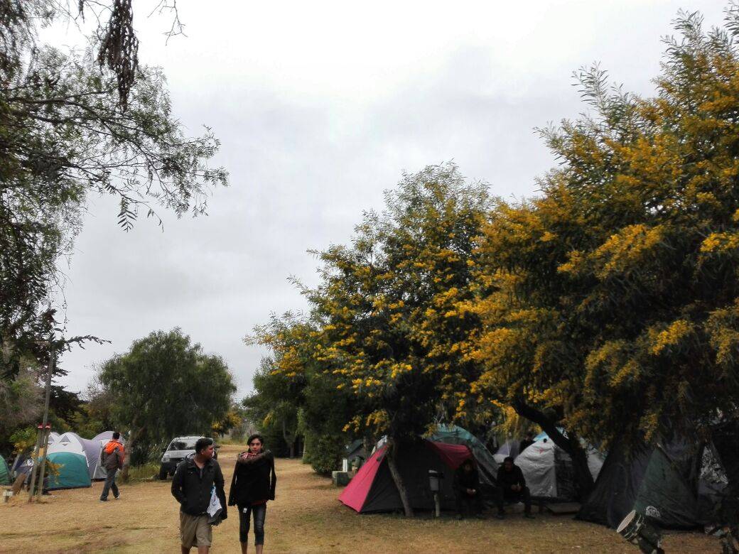 Camping el Oasis - Sector el Bosque