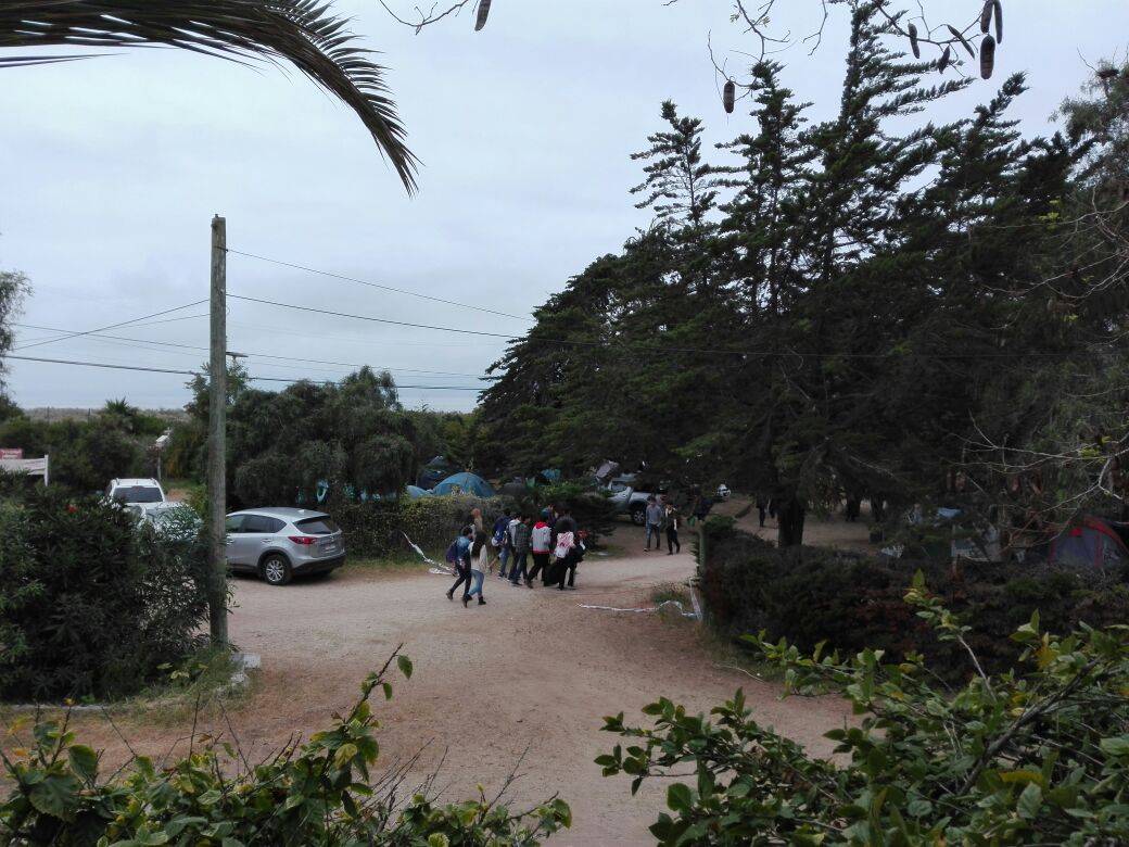 Camping el Oasis - Sector el Bosque