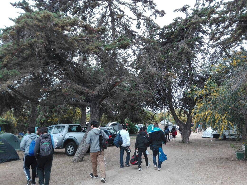Camping el Oasis - Sector el Bosque